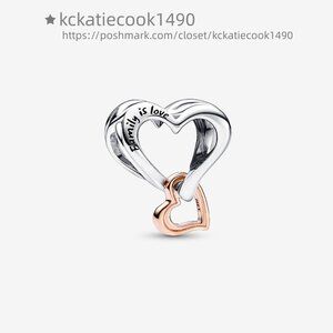 Pandora Two-tone Openwork Infinity Heart Charm